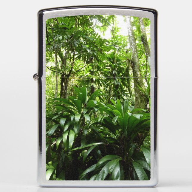 Dominican Rain Forest I Tropical Green Nature Zippo Lighter (Front)