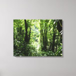 Dominican Rain Forest II Tropical Green Canvas Print