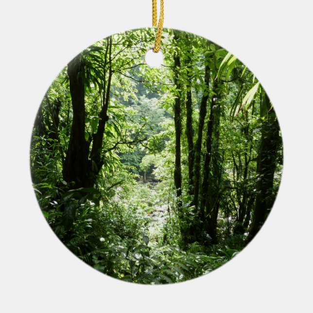 Dominican Rain Forest II Tropical Green Ceramic Ornament (Front)