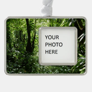 Dominican Rain Forest II Tropical Green Christmas Ornament