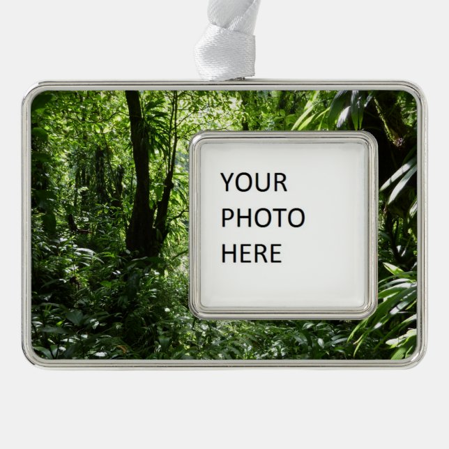 Dominican Rain Forest II Tropical Green Christmas Ornament (Front)