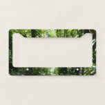 Dominican Rain Forest II Tropical Green License Plate Frame