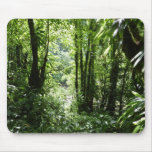 Dominican Rain Forest II Tropical Green Mouse Pad