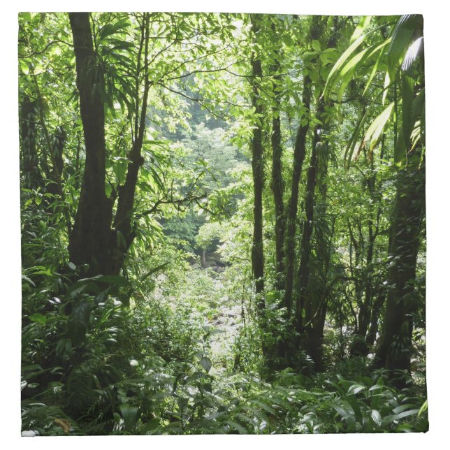 Dominican Rain Forest II Tropical Green Napkin (Front)