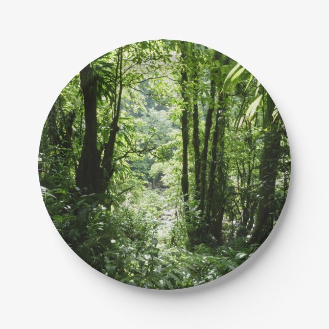 Dominican Rain Forest II Tropical Green Paper Plates (Front)
