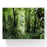 Dominican Rain Forest II Tropical Green Paperweight