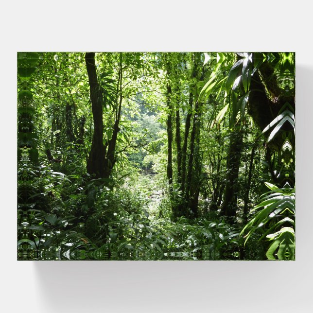 Dominican Rain Forest II Tropical Green Paperweight (Front)