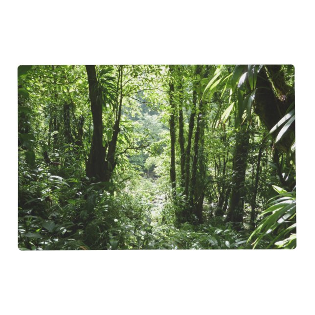 Dominican Rain Forest II Tropical Green Placemat (Front)
