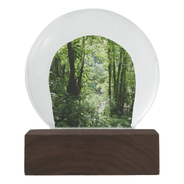 Dominican Rain Forest II Tropical Green Snow Globe (Front)