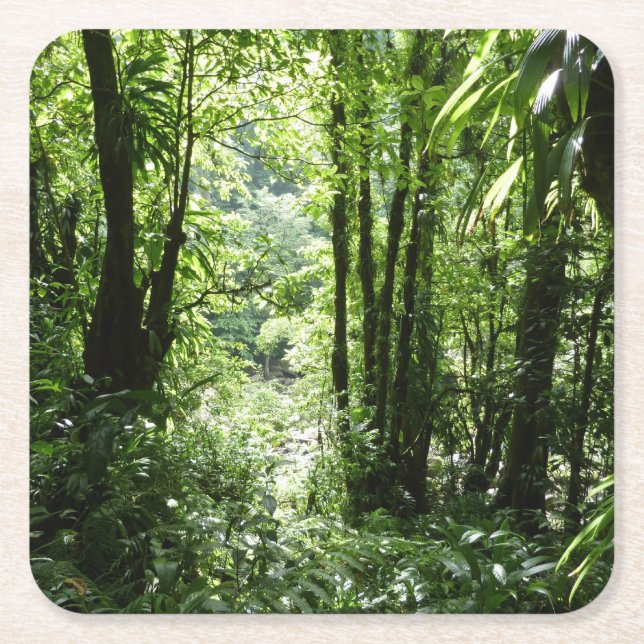 Dominican Rain Forest II Tropical Green Square Paper Coaster (Front)