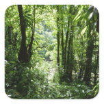 Dominican Rain Forest II Tropical Green Square Sticker