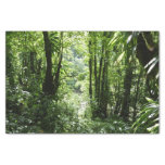Dominican Rain Forest II Tropical Green Tissue Paper