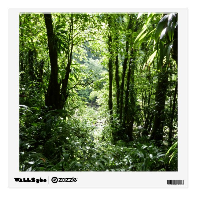 Dominican Rain Forest II Tropical Green Wall Sticker (Front)
