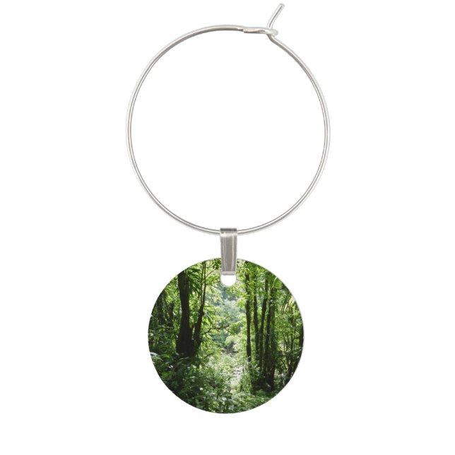 Dominican Rain Forest II Tropical Green Wine Glass Charm (Front)
