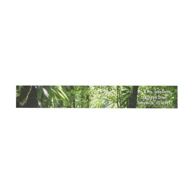 Dominican Rain Forest II Tropical Green Wrap Around Label (Individual)