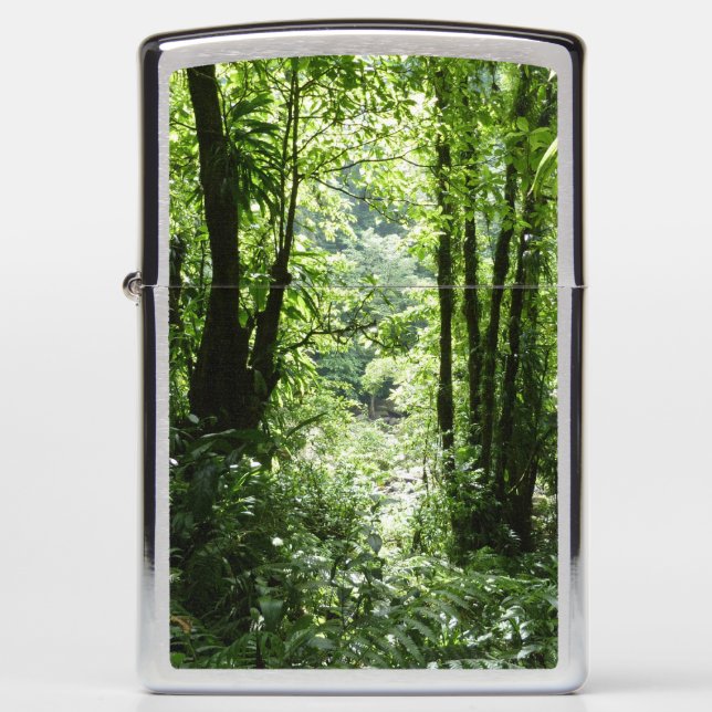 Dominican Rain Forest II Tropical Green Zippo Lighter (Front)