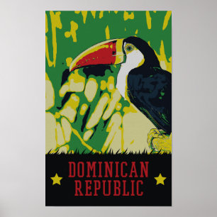 Dominican Republic amazing tucan Postcard Poster