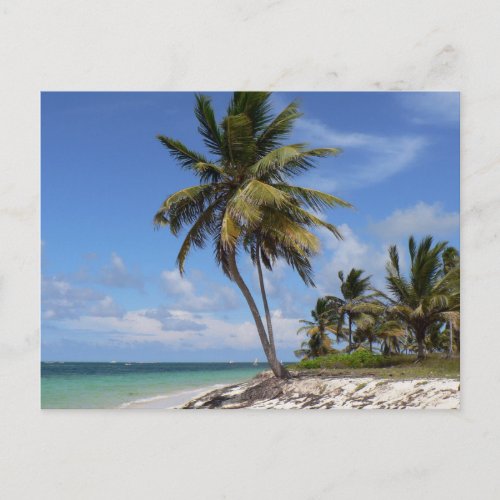 Dominican Republic beach Postcard