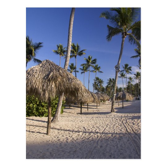 Dominican Republic, Caribbean, Punta Cana, 5 Postcard