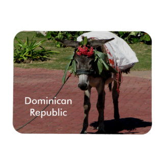 Dominican Republic magnet