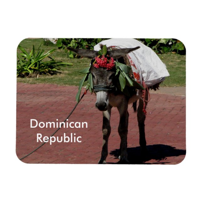 Dominican Republic magnet (Horizontal)