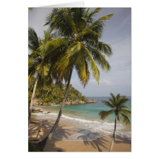 Dominican Republic, North Coast, Abreu, Playa (Front)