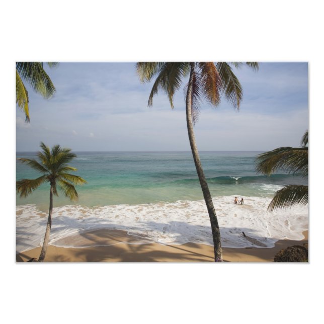Dominican Republic, North Coast, Abreu, Playa 3 Photo Print (Front)