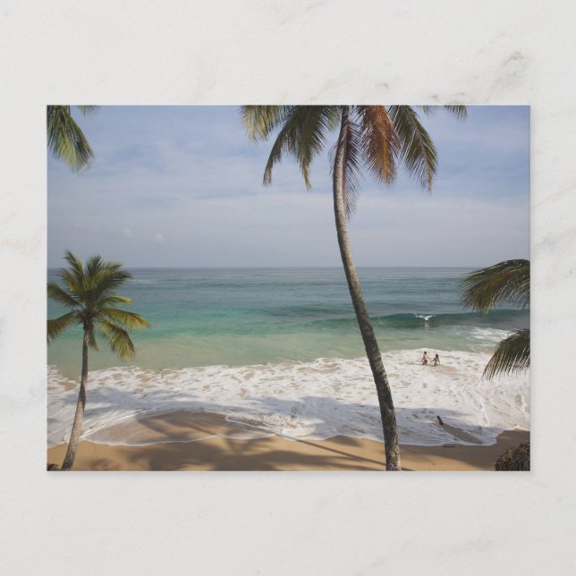 Dominican Republic, North Coast, Abreu, Playa 4 Postcard (Front)
