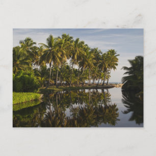 Dominican Republic, North Coast, Nagua, Playa Postcard