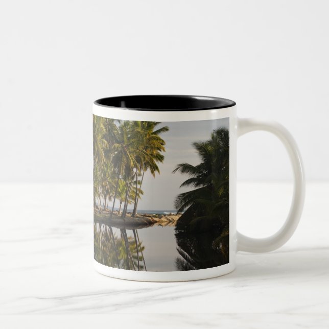 Dominican Republic, North Coast, Nagua, Playa Two-Tone Coffee Mug (Right)