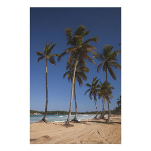 Dominican Republic, Punta Cana Region, El Photo Print