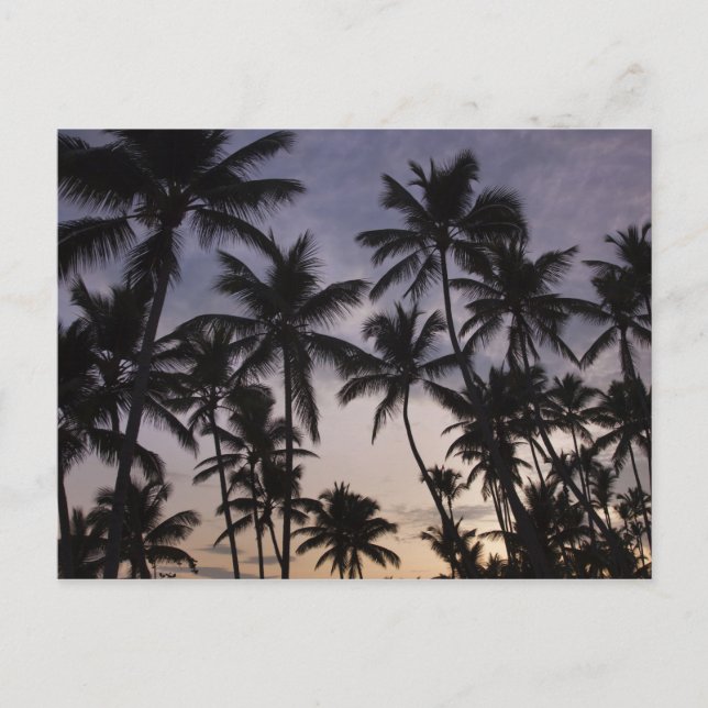 Dominican Republic, Samana Peninsula, Las 2 Postcard (Front)