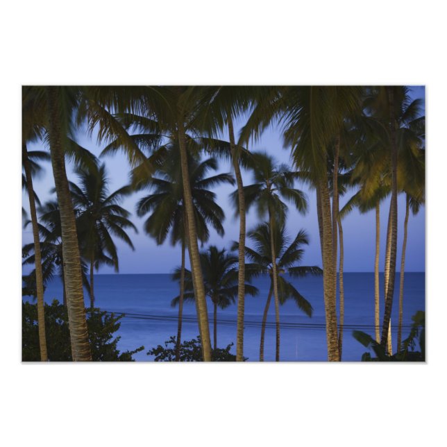 Dominican Republic, Samana Peninsula, Las Photo Print (Front)
