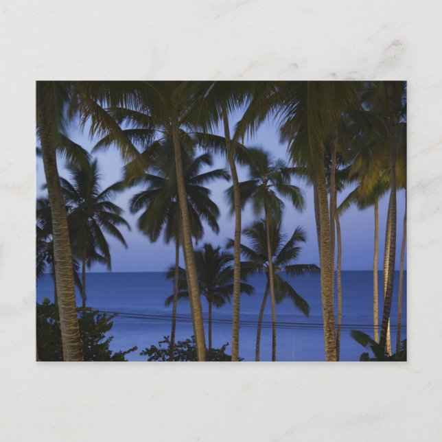 Dominican Republic, Samana Peninsula, Las Postcard (Front)