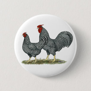 Dominique Chickens Pinback Button