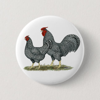 Dominique Chickens Pinback Button