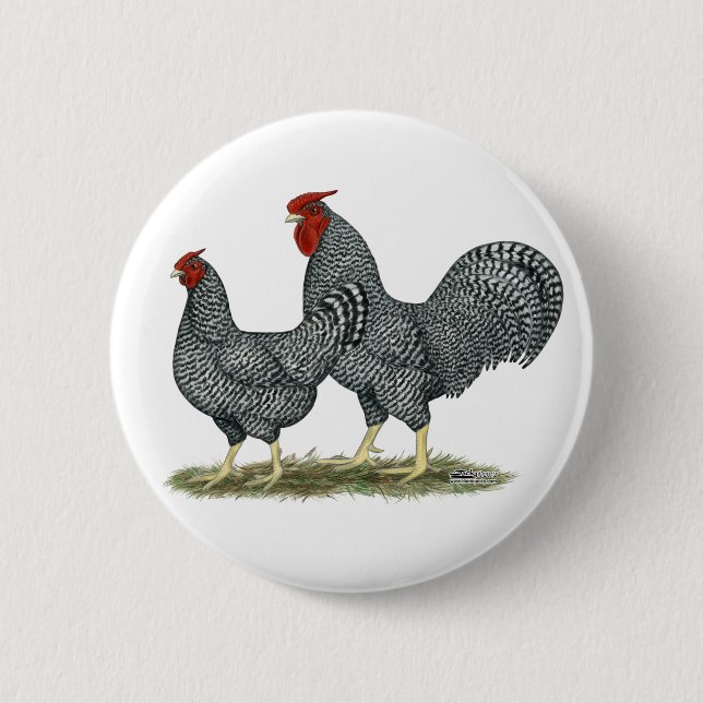 Dominique Chickens Pinback Button (Front)