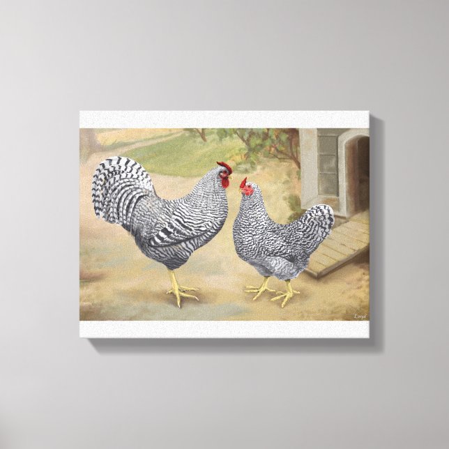 Dominique Rooster and Hen Canvas Print (Front)