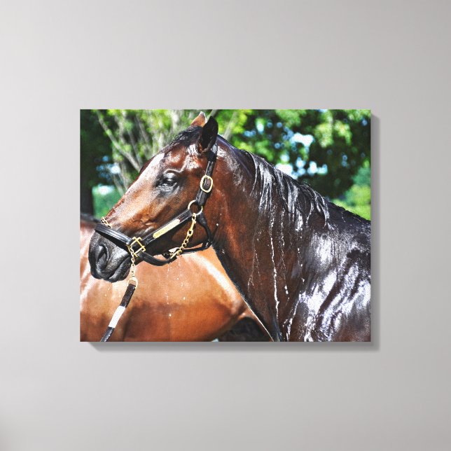 Dom's Pizza Empire Canvas Print (Front)