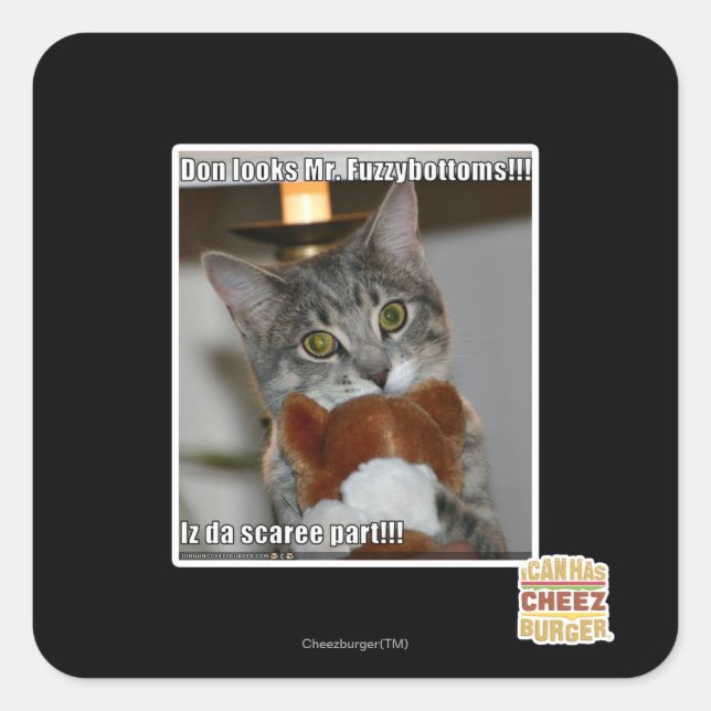 Don looks square sticker (Front)