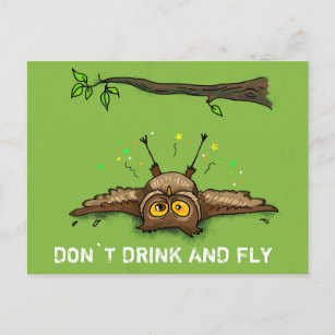 DON`T DRINK AND FLY POSTCARD