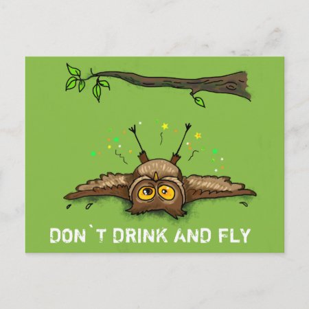 Don`t Drink And Fly Postcard