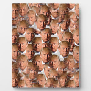 donald drumpf plaque