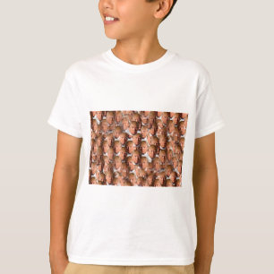 donald drumpf T-Shirt