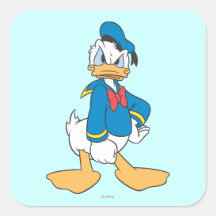bsb Aufkleber Sticker 1 SET 12 Etiketten © Walt Disney Donald Duck  OVP  90er 
