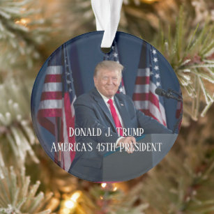 Donald Trump 45th President & White House Metal Christmas Ornament New 