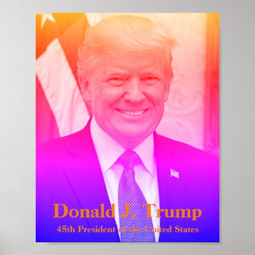 Donald J Trump 45th President of the USA Poster