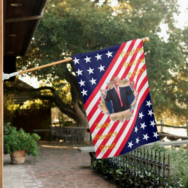 Donald J. Trump ~ Breaking Through ~ Flag ~ (In SItu)