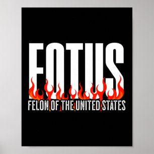Donald Trump 47 Fotus Felon Of The United States P Poster