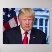 Donald Trump as President